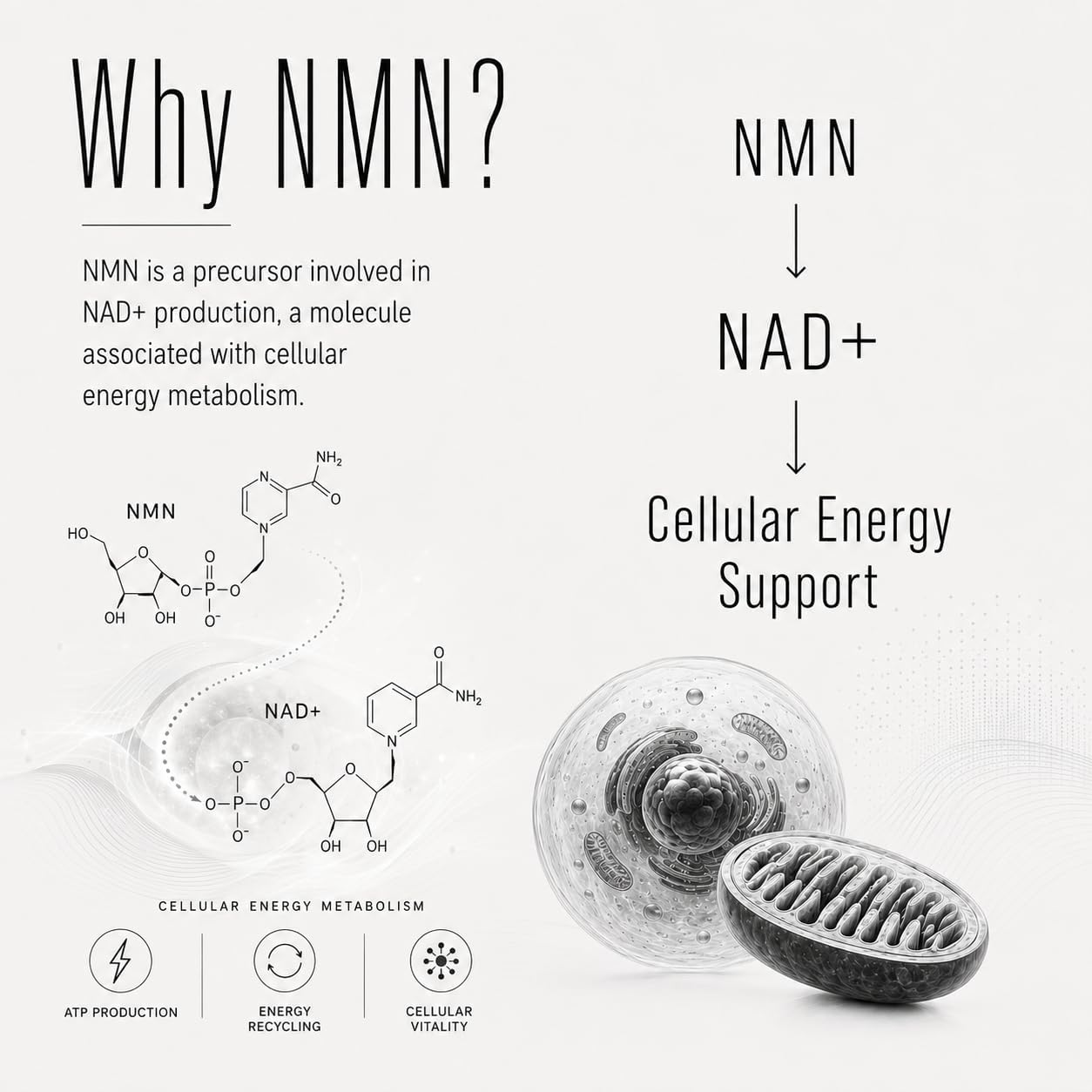 AskTaTa NMN 60000mg — Nicotinamide Mononucleotide NAD+ Support